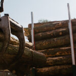 Certainly Wood