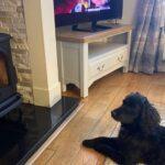 Stovax Huntingdon 30 woodburning stove – “We love the stove, almost as much as the dog…”